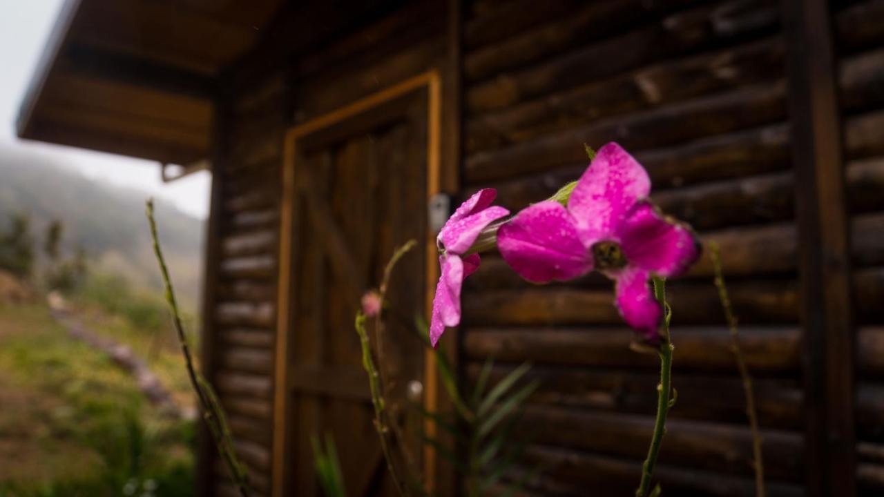 Estrella Finca Las Huellas: Cabana Acogedora En La Montanaヴィラ エクステリア 写真