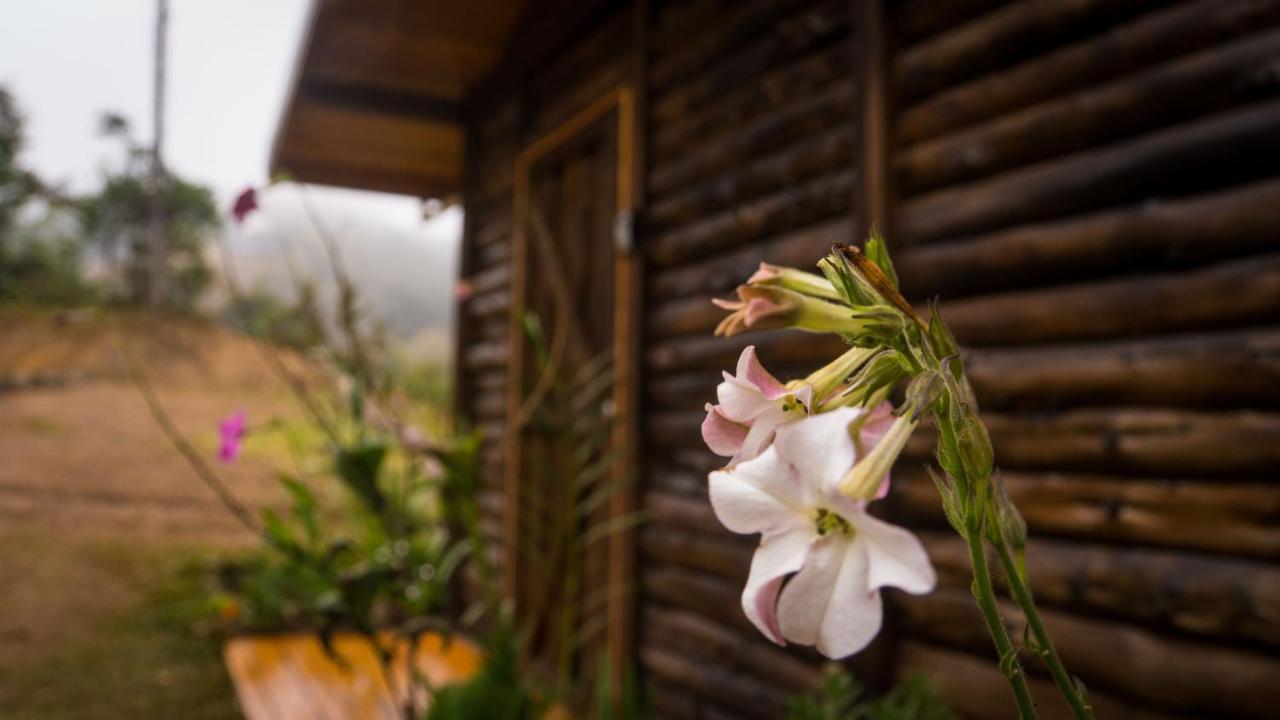Estrella Finca Las Huellas: Cabana Acogedora En La Montanaヴィラ エクステリア 写真