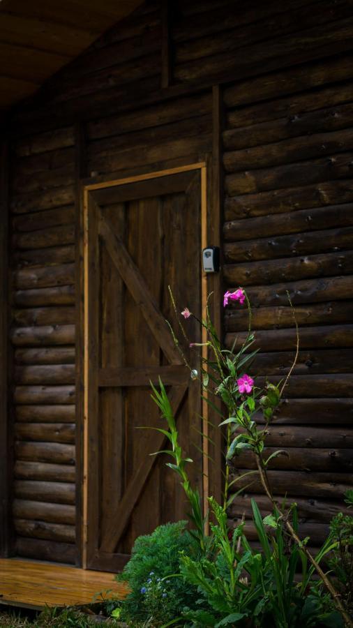 Estrella Finca Las Huellas: Cabana Acogedora En La Montanaヴィラ エクステリア 写真